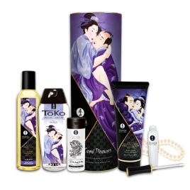 Набор Shunga Carnal Pleasures