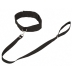 Ошейник с поводком Collar and Leash